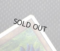 画像5: [英語版/HPLD]《ブラック・ロータス/Black Lotus》(2ED)※実物写真付・インクド