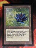 [英語版/HPLD]《Black Lotus》(CE)※実物写真付