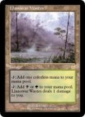 [日本語版/EX]《ラノワールの荒原/Llanowar Wastes》(APC)