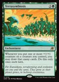 【予約販売】[日本語版]《惑星共生/Terrasymbiosis》(EOE)