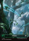 [日本語版]【FOIL/通常】《森/Forest》(EOE)※No.266
