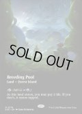 [日本語版]【FOIL/通常】《繁殖池/Breeding Pool》(EOE)※ボーダーレス
