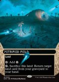 [日本語版]《石化した原野/Petrified Field》(EOS)