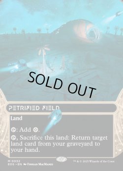 画像1: [日本語版]【FOIL/通常】《石化した原野/Petrified Field》(EOS)