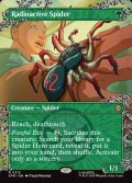 [日本語版]《放射線を浴びた蜘蛛/Radioactive Spider》(SPM)※ボーダーレス