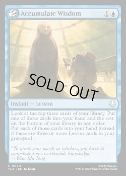 画像1: 【予約販売】[日本語版]《積み重ねられた叡智/Accumulate Wisdom》(TLA)