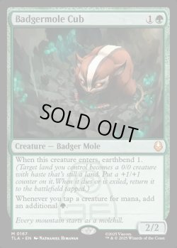 画像1: [英語版]《アナグマモグラの仔/Badgermole Cub》(TLA)