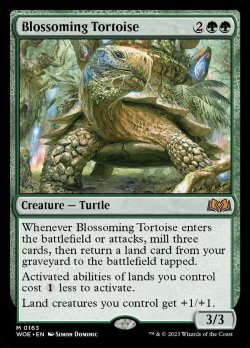 画像1: [英語版]《開花の亀/Blossoming Tortoise》(WOE)