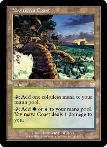 画像1: [英語版/EX]《ヤヴィマヤの沿岸/Yavimaya Coast》(APC) (1)