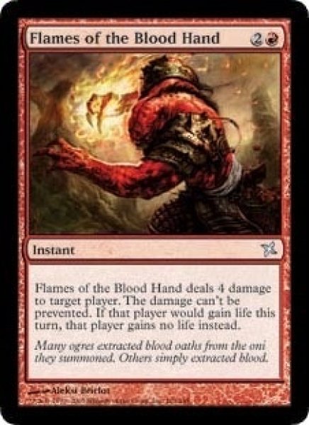 画像1: [英語版]《血の手の炎/Flames of the Blood Hand》(BOK) (1)