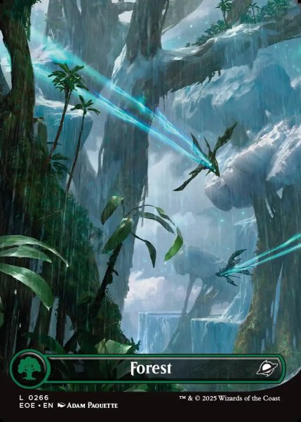 画像1: [日本語版]《森/Forest》(EOE)※No.266 (1)