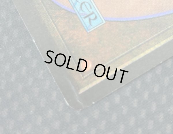 画像4: [英語版/EX]《Tundra》(LEB)※実物写真付 (4)