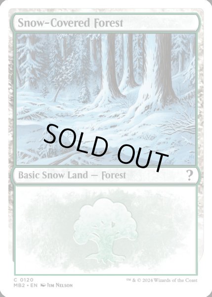 画像1: [英語版]《冠雪の森/Snow-Covered Forest》(MB2) (1)