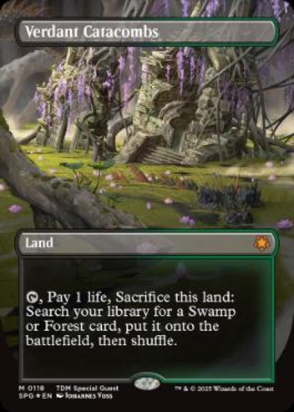 画像1: [日本語版]《新緑の地下墓地/Verdant Catacombs》(SPG)※ドラゴンスケイルFOIL (1)