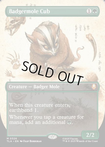 画像1: [日本語版]【FOIL/通常】《アナグマモグラの仔/Badgermole Cub》(TLA)※ボーダーレス (1)