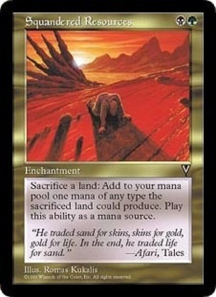 画像1: [英語版/PLD]《資源の浪費/Squandered Resources》(VIS) (1)