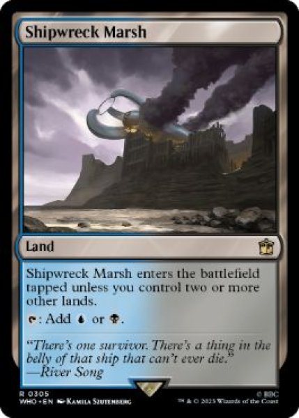 画像1: [英語版]《難破船の湿地/Shipwreck Marsh》(WHO) (1)